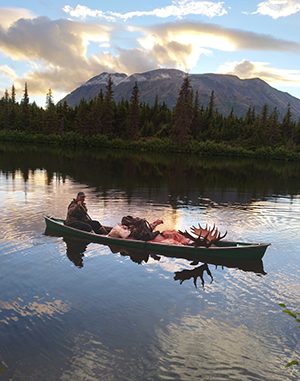Jim Kazen harvested a 55quot bull moose in September 2021 on a hunting trip on the Kenai His friend Ray Davis helped pack it out in his canoe quotOne load with the whole moose and all our gearquot Photo by Ray Davis used with permission