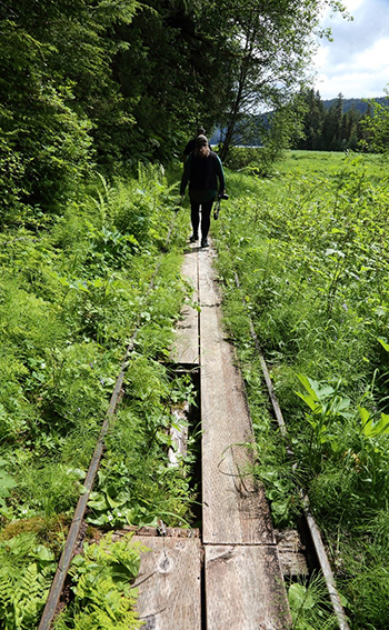 Repairs are needed for Oliver Inletrsquos tramway for light watercraft in Southeast Alaska