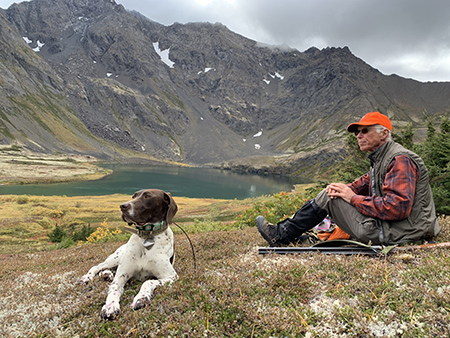 Ptarmigan hunter in the Chugach Mountains Unit 14 ADFampGrsquos Statewide Small Game Program conducts summer brood surveys for grouse and ptarmigan with the help of volunteers with welltrained bird dogs which locate birds and hold a steady point so chicks and adults can be counted  Photo  Rick Merizon September 2020