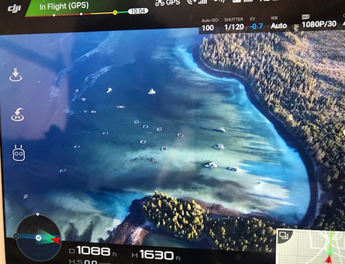 Pounds off Abbess Island well into the spawn event Some of the pounds to the right are bathed in spawn  and in some places like British Columbia open pounding is practiced Herring are not  caught or contained and kelp racks hang in open pounds