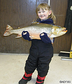 4 year old Marina Davis with trophy Arctic char from Harding Lake