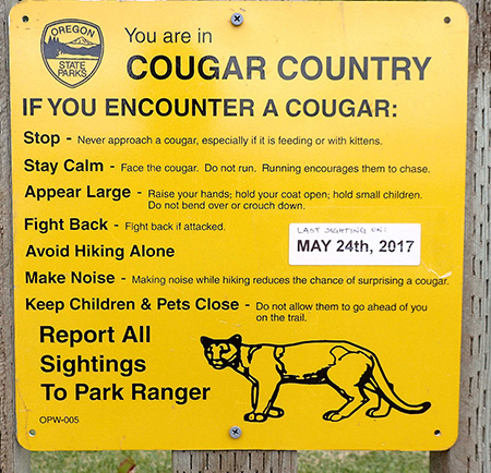 A sign in the Willamette Valley in Oregon near Corvallis notifying park users of a mountain lion sighting