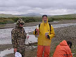 Sampling crew Drs John Clark and Tom Quinn in action on Funnel Creek Sampling of dead sockeye salmon was conducted throughout the Alagnak River system to determine the level of egg retention due to high spawning densities in the system in 2004