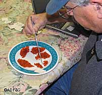 Counting salmon eggs from a samples taken from various spawing locations in the Alagnak River system   The pooled sample weight and volume was determined to estimate mean egg weight volume and specific gravity for the various spawing locations