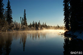 Early morning on the Delta Clearwater River