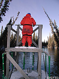 The author counting coho salmon on the Delta Clearwater River