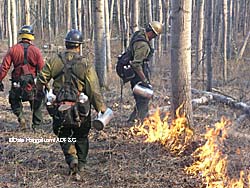 Foresters working with biologists set a controlled burn in Interior Alaska Photo by Dale Haggstrom