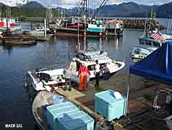 Fish and Game technicians interview fishermen in Sitka collecting valuable information for the Division of Sport Fish ADFampG photo