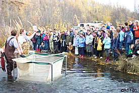 Aquatic educators Fritz Kraus and Craig Baer bring students to the salmon and salmon into the classrooms