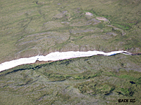 Caribou move across a snow patch near the Susitna River