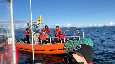 ADFampG biologists head out to search for a branded Steller sea lion
