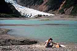An amphibian monitor at Davidson Lake near the Davidson Glacier Tadpoles are found in the icy waters of this lake Photo by Tim Shields