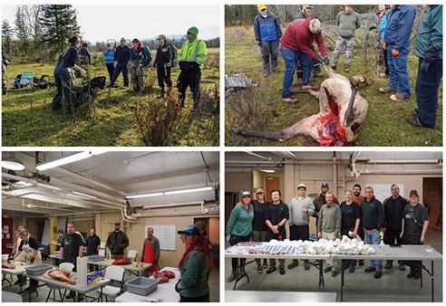 Students in emBig Game Hunting Field to Freezerem work together to field dress pack out and process an elk at Northern Lights Elk Ranch in Palmer 2023