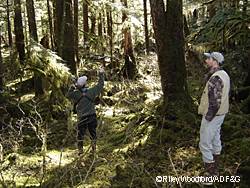 Biologists Michelle Kissling and Steve Lewis track an owl equipped the previous night with a radio transmitter Photo by Riley Woodford