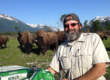 Bruning at the Alaska Wildlife Conservation Center in 2015 preparing wood bison for transport and release