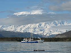 The Curlew in Icy Bay with Mt Saint Elias behind Photo by Keri Edwards