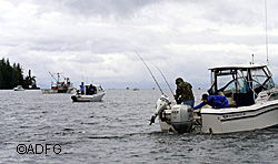 The Ketchikan King Salmon Derby ADFampG photo
