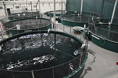 The WJH production floor