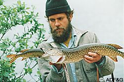 This wildlife biologist found these two pike on the shoreline of a Bristol Bay lake The larger pike suffocated while trying to ingest the smaller pike