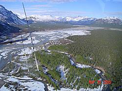 Tracking moose by airplane near the confluence of the Hayes and Skwentna Rivers