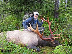 This nice elk was taken on Etolin Island by Rick Swisher in the fall of 2006 Photo by Nick Gefre