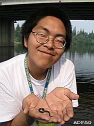 A high school student on the Chena River with a juvenile lamprey called an ammocoete  The table of contents photo shows three arctic lampreys