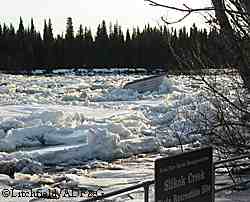 Ice damage on the Kenai River Photo by Ginny Litchfield