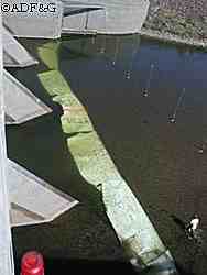 Technicians install white panels on the Chena River bed to aid in fish counting ADFampG photo
