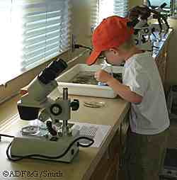 Investigating aquatic creatures in the mobile classroom Photo by Tracy Smith