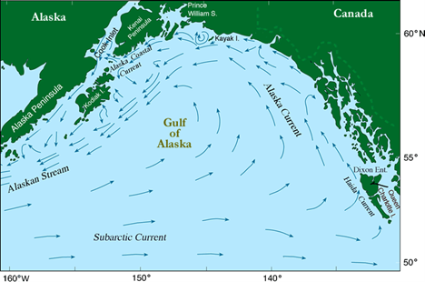 emFigure 3 Map of Gulf of Alaska currents  NOAA EcoFOCI programem
