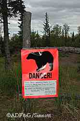 A temporary red sign with the outline of a bear indicates that bears present a higher than normal threat to human safety