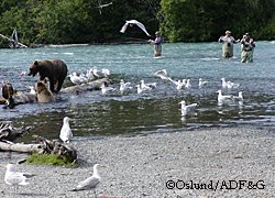 When you clean your fish please take a second to chop and throw the carcass into fast moving water along with all the fish waste parts