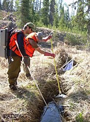 Researchers working with the Reserve use a backpack  electrofisher to sample juvenile fish This work is helping to identify important rearing habitat for salmon Photo by Coowe Walker