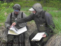 Field technician Conrad Field and Smithsonian researcher Dennis Whigham record riparian vegetation communities adjacent to headwater streams Photo by Coowe Walker
