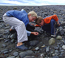 Clem Tillion IV left age 11 and Hunter Tillion right age 9 explore the beach in front of their Homer home overlooking Kachemak Bay Photo taken by Terry Thompson KBRR