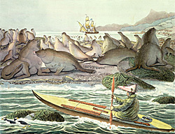 A 19th century painting by a Russian artist depicts a Steller sea lion hunter near a haulout Alaska State Library Historical Collection PCA 13948
