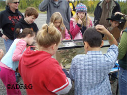Students from Teri Diamonds class looking for the elusive rainbow trout