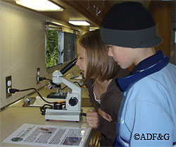 Sterling students examining Skilak Lake plankton