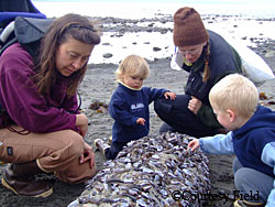 Kachemak Bay National Estuarine Research Reserve KBNERRhosted a workshop in Homer in September titled Exploring Our Estuary with Kidsas part of the Reserves National Estuaries Day celebration