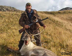 Good caribou chili starts with a caribou Author John Bush with a nice caribou