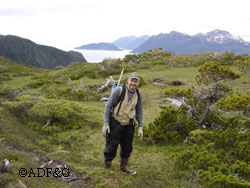 Carl in the subalpine country of Baranof Island on an early summer deer pellet survey