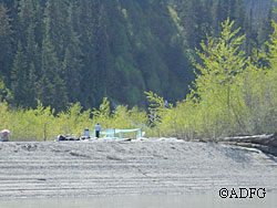 Mending the net on the Stikine River