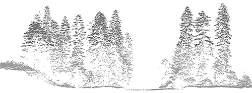 A point cloud image of the forest  cross section