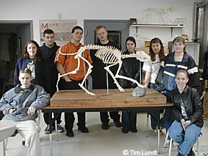 Tim Lundts biology students with an articulated wolf skeleton