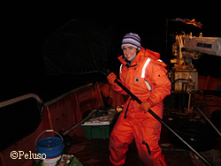 Beth Peluso prepares for a nighttime capture expedition during a Kittlitzs murrelet research project