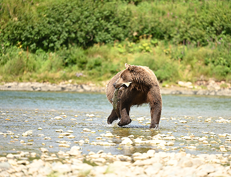 quotWhen you realize your lunch is about to be stolenquot