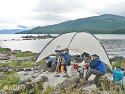 The murrelet watchers at Whitesone Harbor