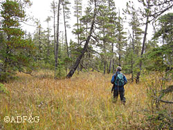 A Southeast deer hunter Fish and Game data indicates about 175000 Alaska residents are hunters