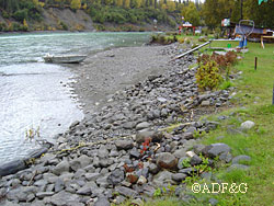ADFampG has two programs to help protect and restore fish habitat  habitat restoration workshops and a cost share program for sustaining and rehabilitating fish habitat and riparian vegetation and function