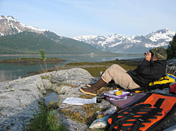 Equipped with binoculars a mosquito headnet a stopwatch and data forms a surveyor counts murrelets in Glacier Bay
